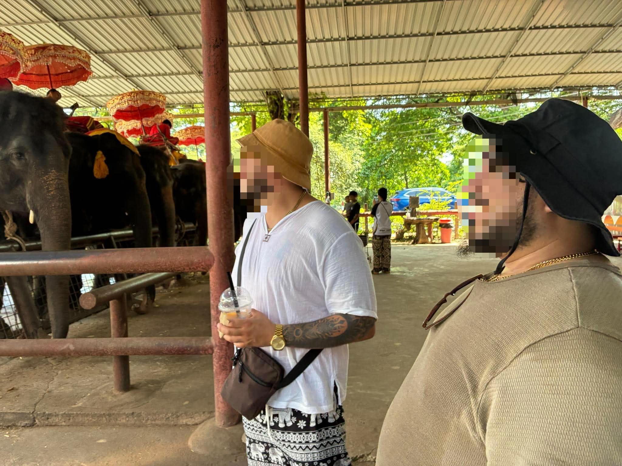 Feeding elephants at the Ayutthaya elephant camp