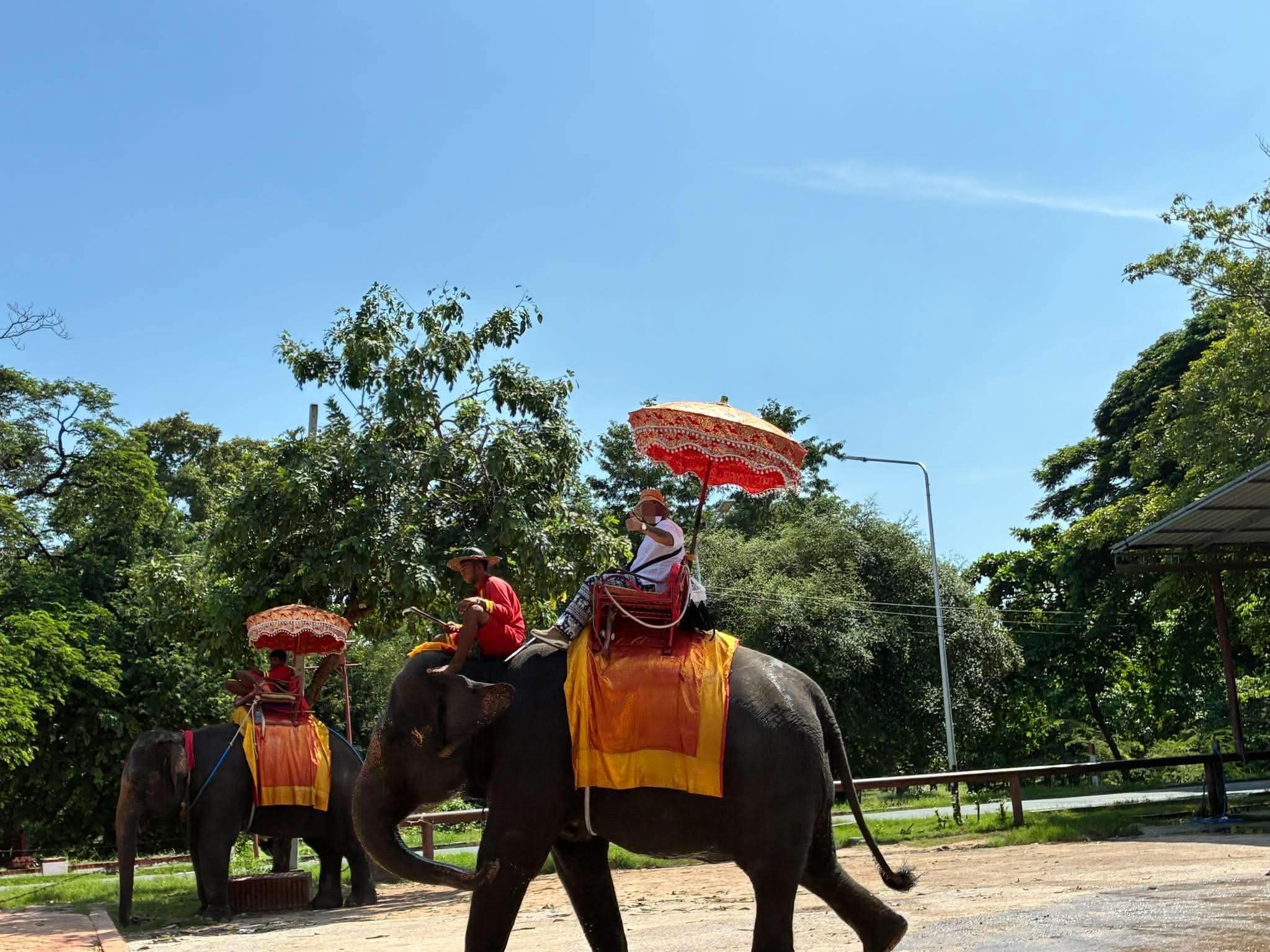 Wat Yai Chai Mongkhon chedi, October 2026